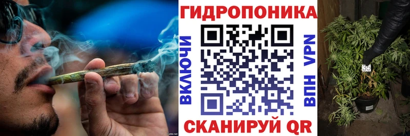 Каннабис план  Палласовка 